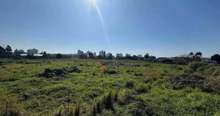 Terreno à venda, 28027 m² por r$ 9.900.000,00 - caminho novo - palhoça/sc