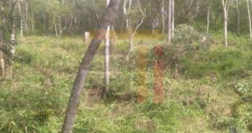 Terreno à venda na Waldemar Fiqueiro, 1, João Paulo, Florianópolis