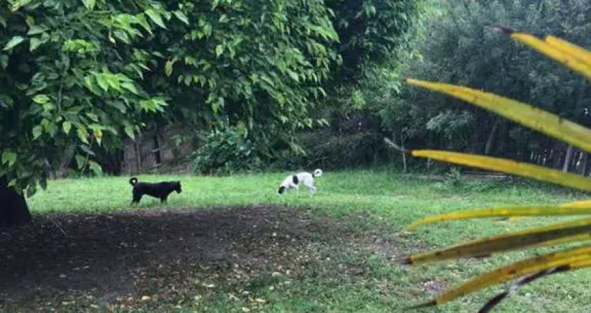 Terreno em condomínio para venda em são gonçalo pelotas-rs -