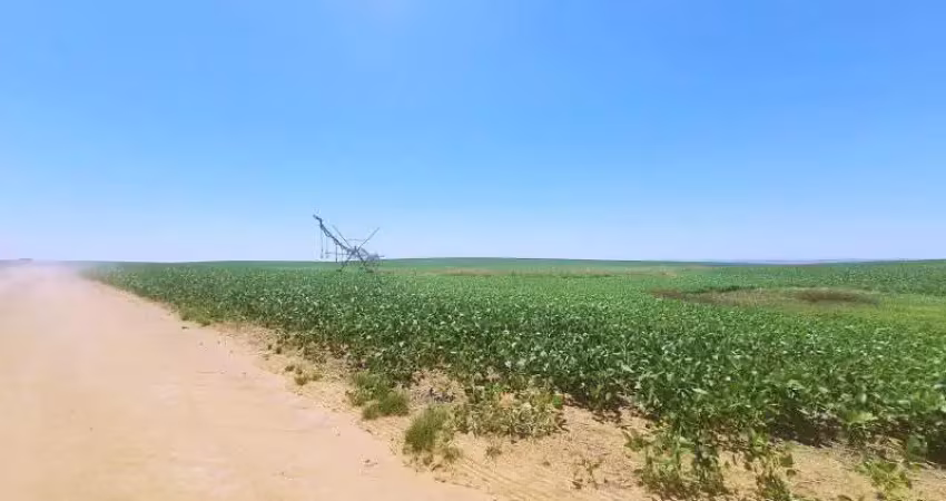 Fazenda de excelência no rs 2.100 hectares cachoeira do sul