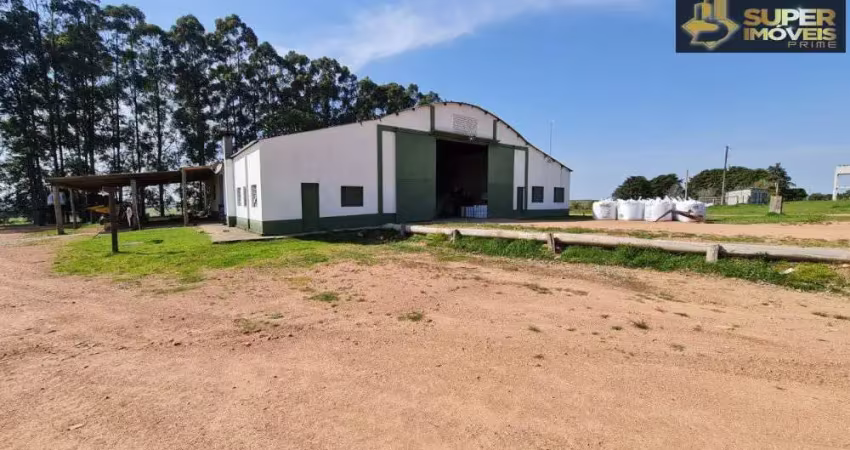 Fazenda com 1 sala à venda no Centro, Pedras Altas 