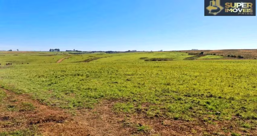 Fazenda à venda na Área Rural de Bagé, Bagé 