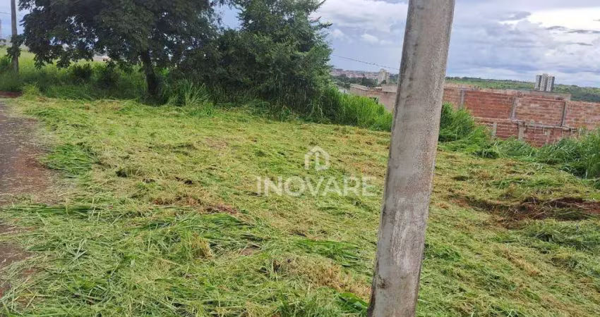 Terreno à venda, 256 m² por r$ 109.200,00 - beira rio ii - itumbiara/go