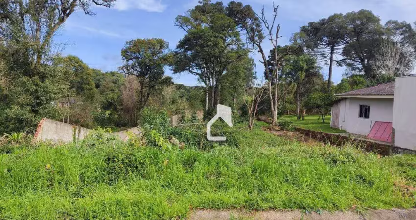 Terreno à venda, 828 m² por R$ 240.000,00 - Alto das Palmeiras - Canoinhas/SC
