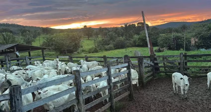 Fazenda com 2 salas à venda na Área Rural, Zona Rural, Minaçu