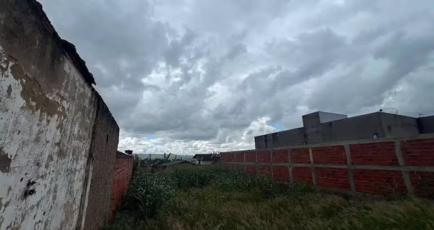 Lote na avenida comercial do bairro , proximo a supermercado, padaria, pet shop, à venda, 300 m² por r$ 370.000 - jardim dos ipês - anápolis/go