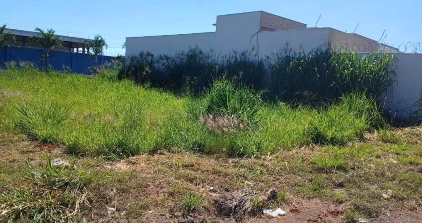 Terreno comercial à venda na Rua RC-16, Residencial Cerejeiras, Anápolis