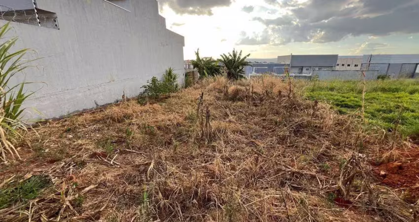 Terreno à venda, 300 m² por r$ 155.000,00 - setor sul jamil miguel - anápolis/go