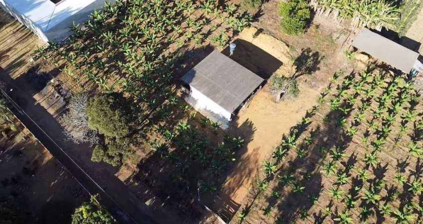 Chácara com 1 dormitório à venda, 5000 m² por r$ 650.000,00 - vila rica - anápolis/go
