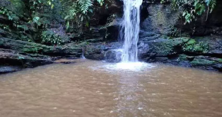 Chácara com 1 dormitório à venda, 22000 m² por r$ 450.000,00 - rural - abadiânia/go