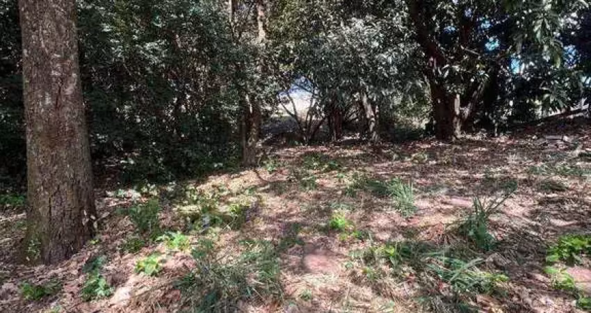 Terreno à venda, 1000 m² por r$ 450.000 - jardim bela vista - anápolis/go