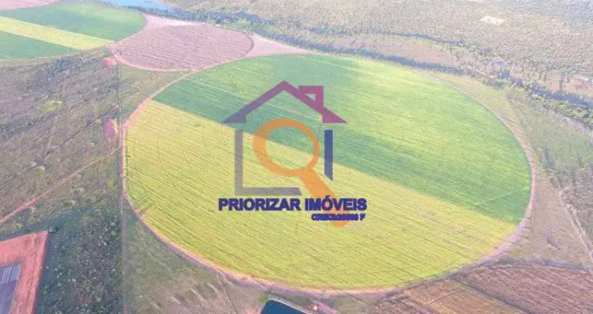 Fazenda dupla aptidão com 531 há e 230 irrigados com pivôs e