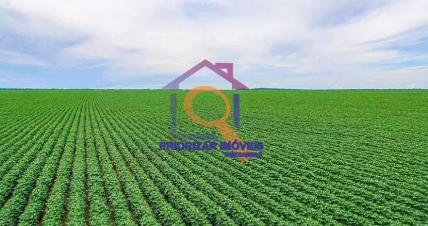 FAZENDA DUPLA APTIDÃO COM 18.270 HA EM IPIRANGA DO NORTE-MT