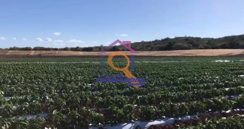 FAZENDA DE DUPLA APTIDÃO COM 988 HA FORMADA EM IBIMIRIM - PE