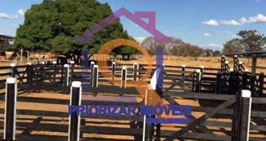 EXCELENTE FAZENDA COM 1041 HA DE TERRAS DE CULTURA PLANA E F