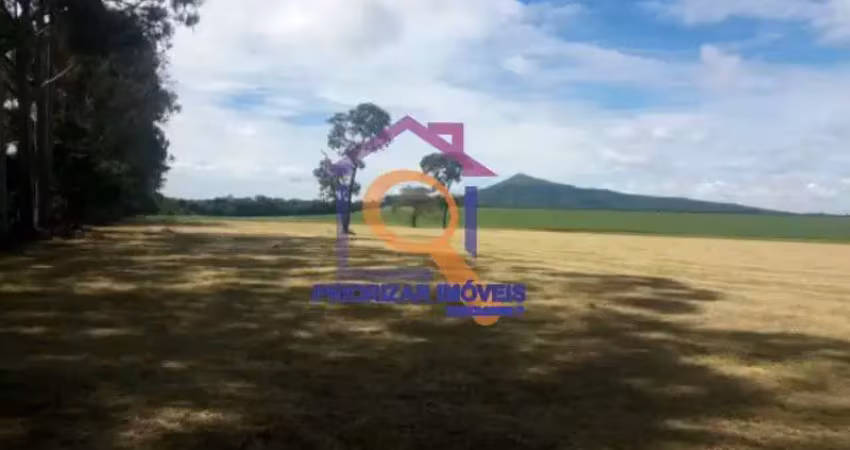 Excelente fazenda 1.000 hectares dupla aptidão a venda, morr