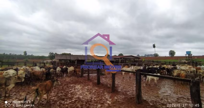 FAZENDA COM 83.500 HA EM SÃO FÉLIX DO ARAGUAIA- MT