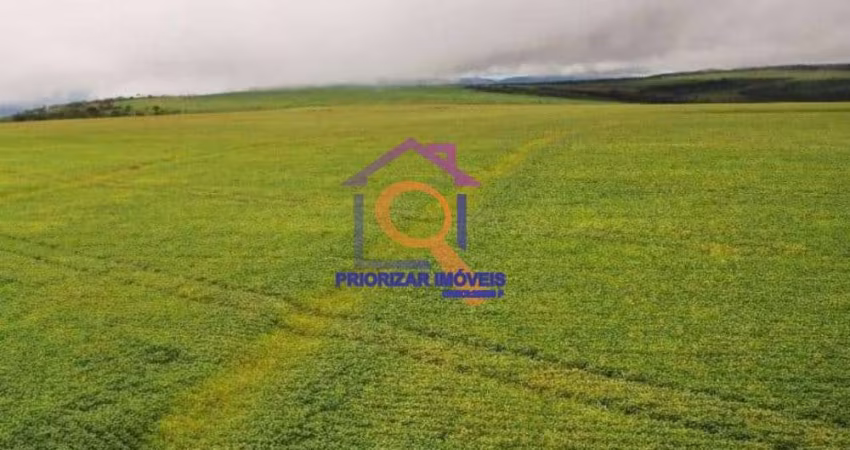 FAZENDA COM 582 HA DUPLA APTIDÃO EM ÁGUA FRIA DE GOIAS - GO