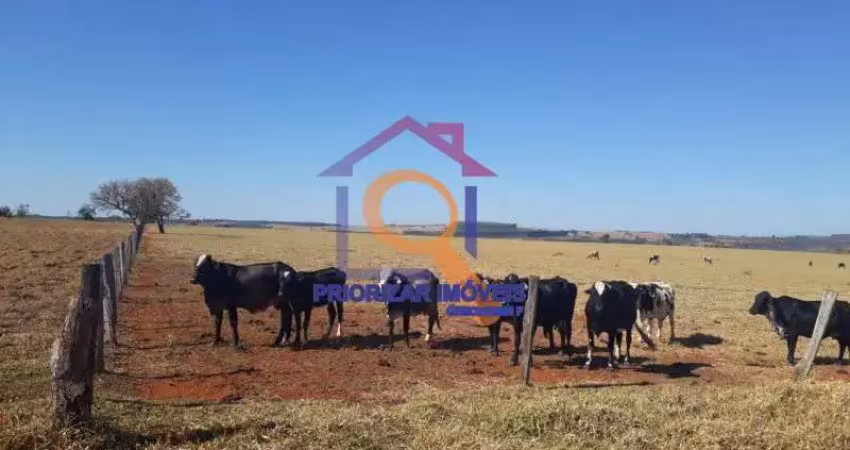 Fazenda com 304 ha formada, área de lavoura e gado em presid