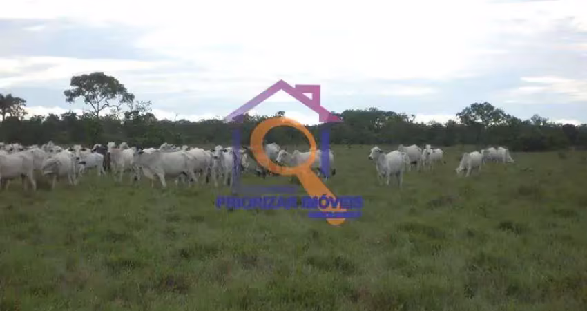 FAZENDA COM 2.620 HECTARES  EM BRASILÃNDIA DE MINAS-MG