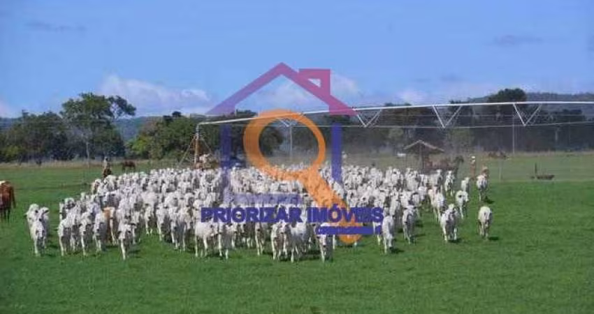 FAZENDA DUPLA APTIDÃO COM 2032 HA IRRIGADA EM PIRAPORA-MG