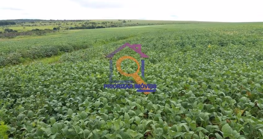 FAZENDA DUPLA APTIDÃO COM 582 HA EM ÁGUA FRIA DE GOIAS-GO