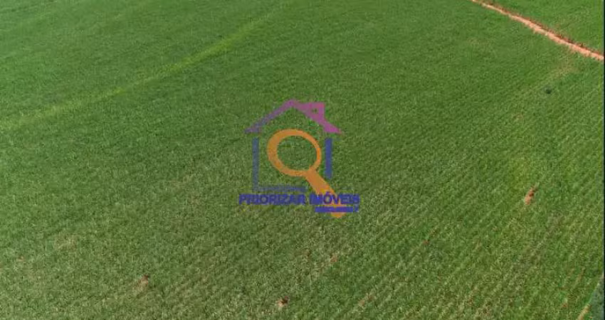 Fazenda de cana com 912 ha em presidente prudente- sp