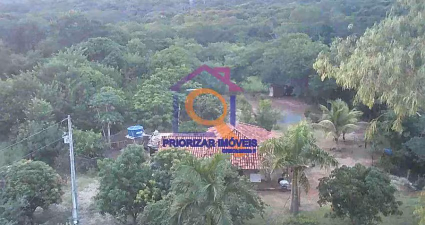 Fazenda dupla aptidão 380 ha formada em buritizeiro- mg