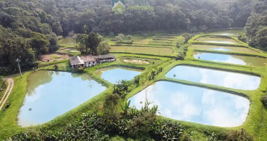Chácara / sítio com 2 quartos à venda na Zona Rural, Morretes 
