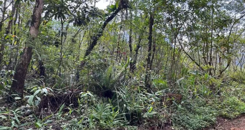 Terreno à venda no bairro São João da Graciosa - Morretes/PR, Rural