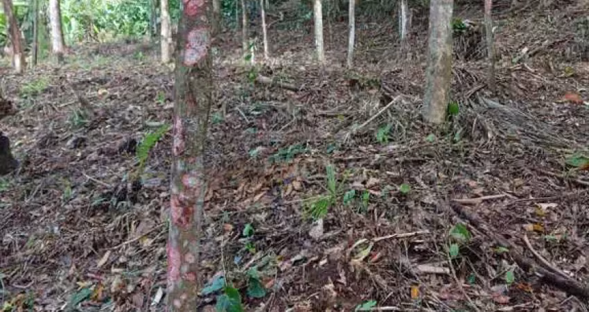 Terreno à venda na Estrada do Bom  Jardim, Zona Rural, Morretes
