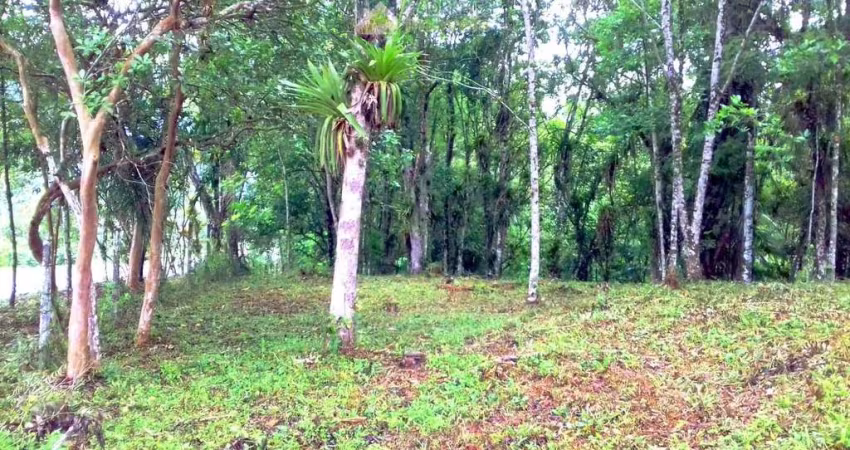 Terreno no Bairro Sarapia, Morretes/PR de frente para o asfalto.