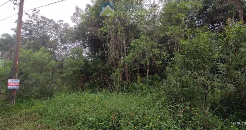Terreno à venda no bairro barreiros - morretes/pr, urbana
