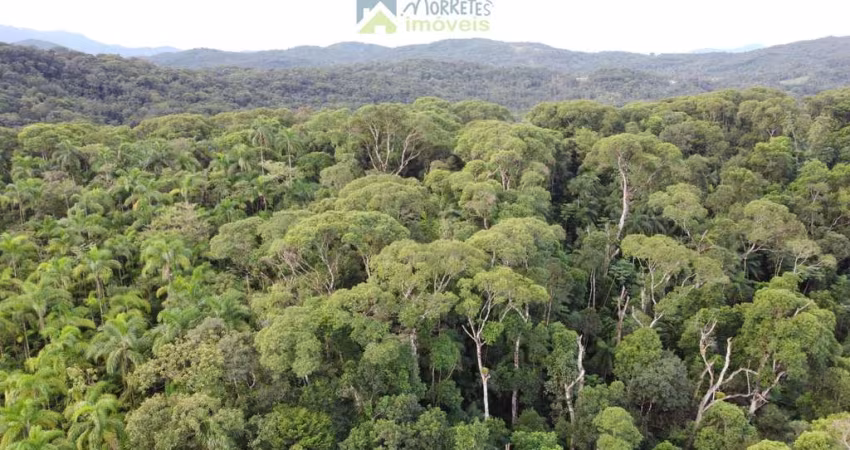 Terreno Lote para construir com 10.000 metros dentro da Mata Atlântica local alto