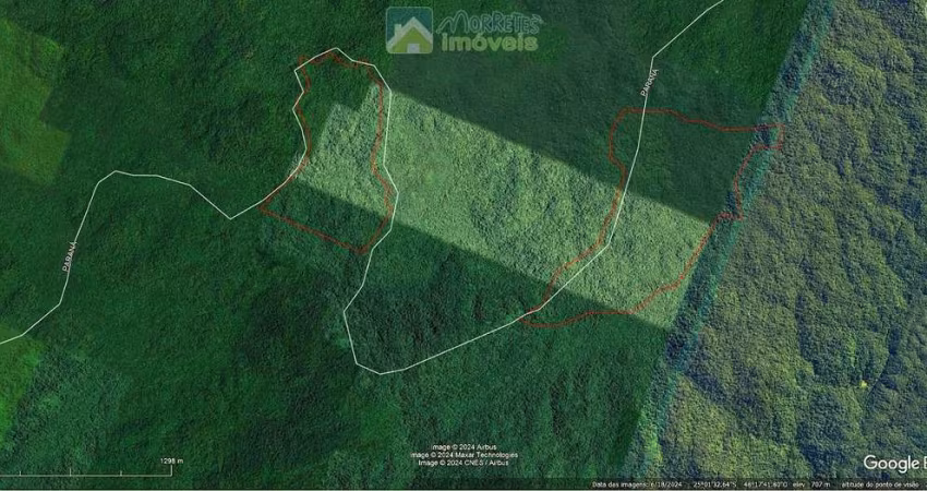 Fazenda eTerras para compensação ambiental ou Crédito de Carbono no Paraná 117,5 hectares no Paraná