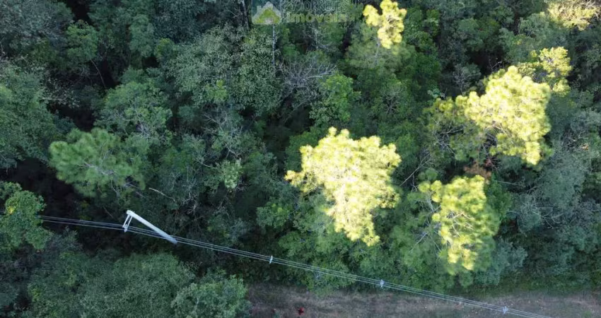 Área rural documentada com 150.480 m²  (15hec) em meio à natureza! estrada de fácil acesso em  morretes/pr.