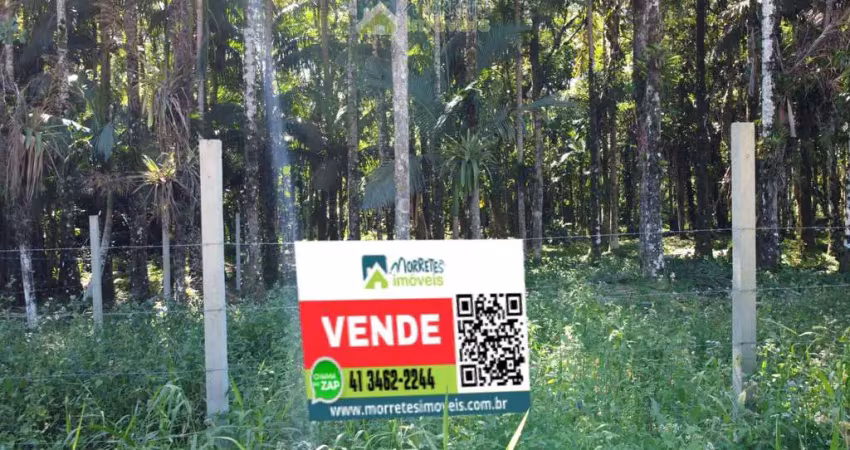 Terreno lote com 1.500m² plano, frente para estrada, próximo 200 metros da ponte do nhundiaquara morretes/pr