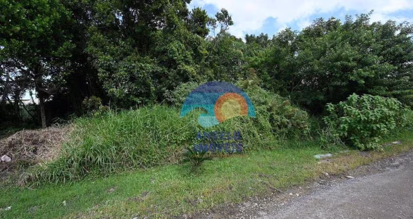 Terreno à venda, 250 m² por R$ 70.000,00 - Parque Balneário Oásis - Peruíbe/SP