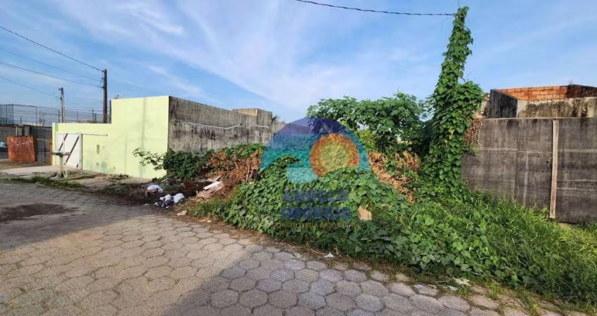 Terreno à venda, 330 m² por R$ 120.000 - Jardim Ribamar - Peruíbe/SP