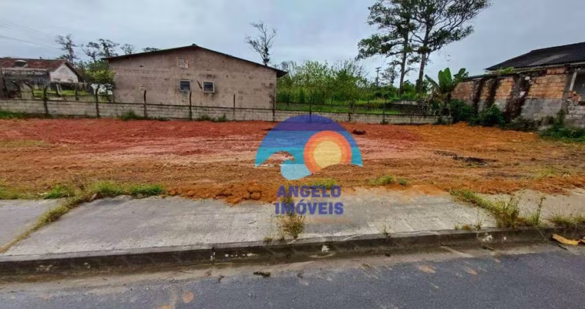 Terreno à venda, 342 m² por R$ 135.000,00 - Cidade Nova Peruíbe - Peruíbe/SP