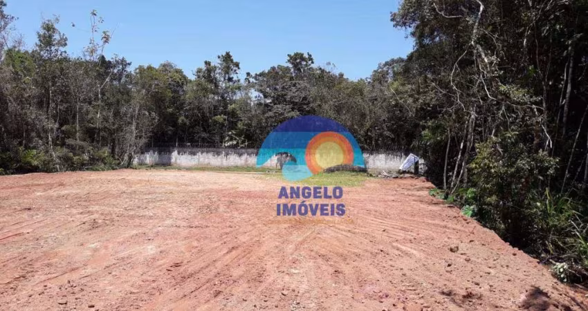 Terreno à venda, 1000 m² por R$ 250.000,00 - Estância São Marcos - Peruíbe/SP