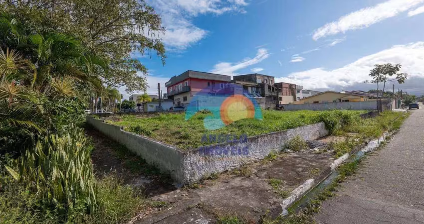Terreno à venda, 750 m² por r$ 750.000,00 - jardim star - peruíbe/sp