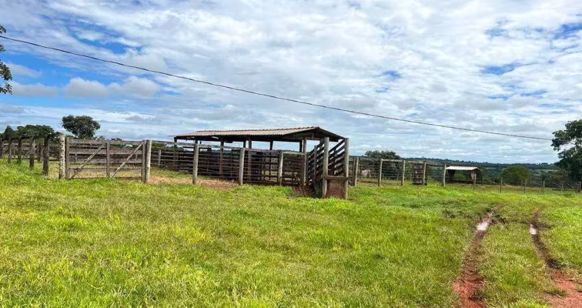 Chácara / sítio à venda na Entre Trevão e Prata, Zona Rural, Prata