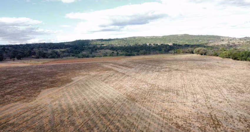 Excelente fazenda na região de Piracanjuba-GO