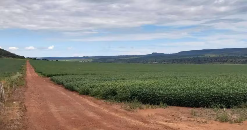 Fazenda produtora de grãos em caiapônia-go: oportunidade única!