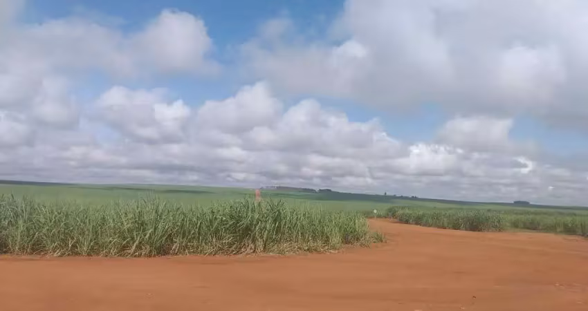 Fazenda Cana de açúcar em Mineiros- Go: Oportunidade Única!