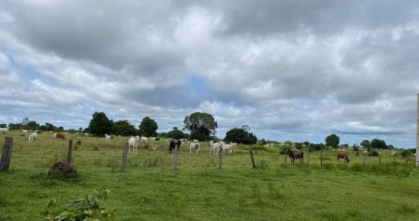 Incrível oportunidade: fazenda de 20.000 hectares em cocalinho - mt - dupla aptidão e infraestrutura completa!