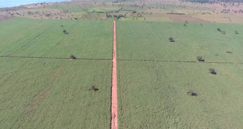 Excelente fazenda entre iguaçu e são simão dupla aptidão.