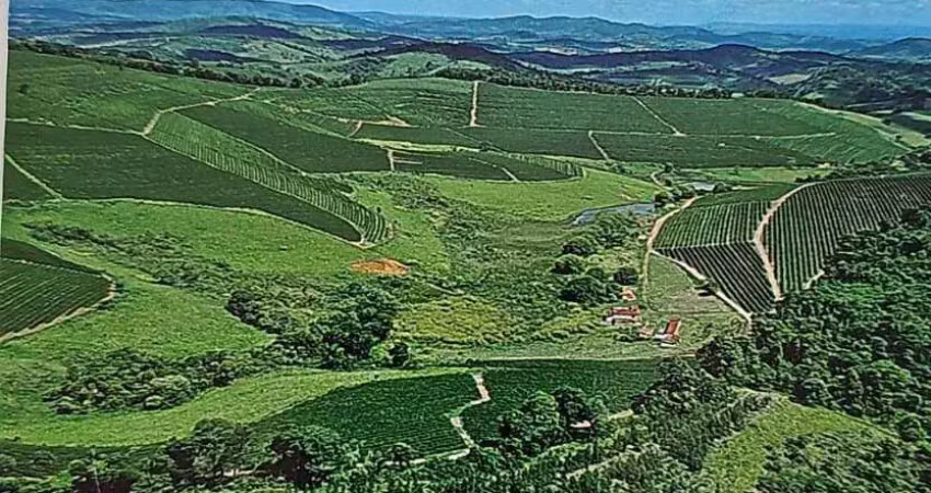Viva o sonho do café: torne-se dono de uma fazenda de sucesso em santo antônio do amparo-mg
