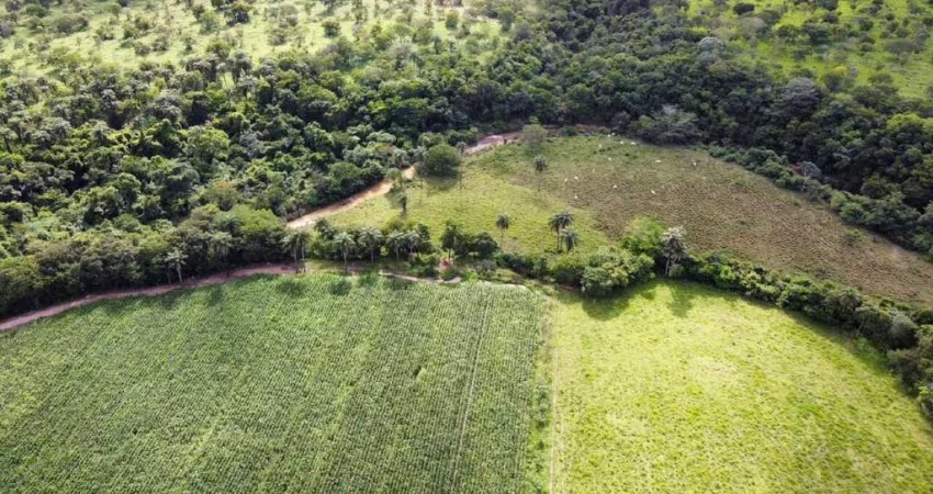 Fazenda na Área Rural de Várzea da Palma